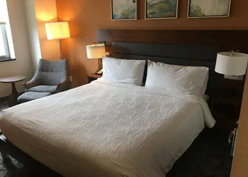 Hilton Garden Inn Long Island City New York hotel thumbnail 6