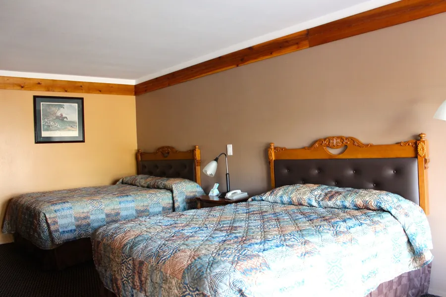 Executive Inn and Suites hotel detail image 2