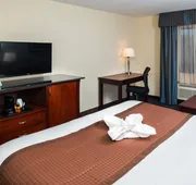 Best Western Plus Hollywood/Aventura hotel detail image 7