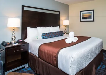 Best Western Plus Hollywood/Aventura hotel thumbnail 8