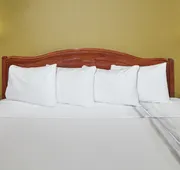 Chicago Lake Shore Hotel hotel detail image 7