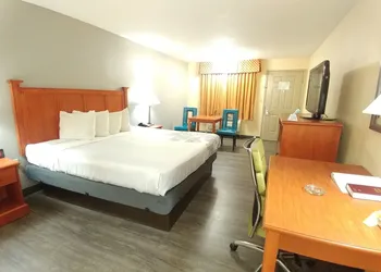 Best Western Jacksonville Inn hotel thumbnail 6