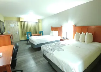 Best Western Jacksonville Inn hotel thumbnail 8