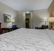 Best Western Plus Sweetwater Inn & Suites hotel detail image 5