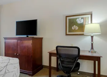 Best Western Plus Sweetwater Inn & Suites hotel thumbnail 6
