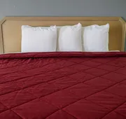 Rodeway Inn Beebe hotel detail image 7