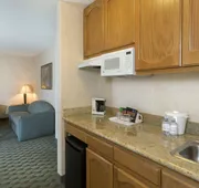 Borrego Springs Resort & Spa hotel detail image 3