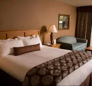 Borrego Springs Resort & Spa hotel detail image 7