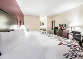 Red Roof Inn Cadiz hotel thumbnail 8