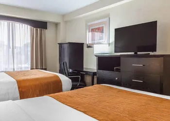 Comfort Inn & Suites LaGuardia Airport hotel thumbnail 8