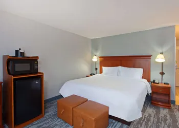 Hampton Inn & Suites Clovis-Airport North hotel thumbnail 4