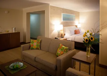 Holiday Inn Greenville by IHG hotel thumbnail 8