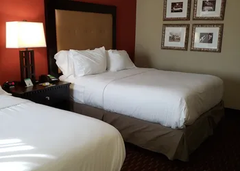 Wyndham Garden Dover hotel thumbnail 3