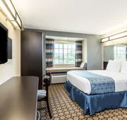 Microtel Inn & Suites by Wyndham Spring Hill/Weeki Wachee hotel detail image 4
