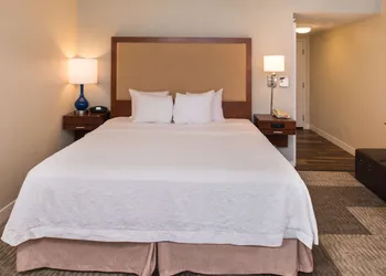 Hampton Inn & Suites Schertz hotel thumbnail 8