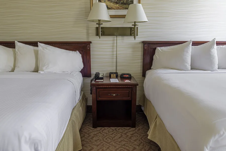 The Guv’nor hotel detail image 2