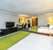Comfort Inn & Suites hotel detail image 7