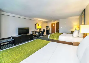 Comfort Inn & Suites hotel thumbnail 7