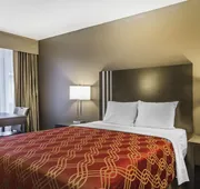 Econo Lodge Lethbridge hotel detail image 5