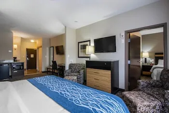 Comfort Inn & Suites hotel thumbnail 8