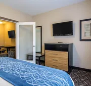 Comfort Inn & Suites hotel detail image 7