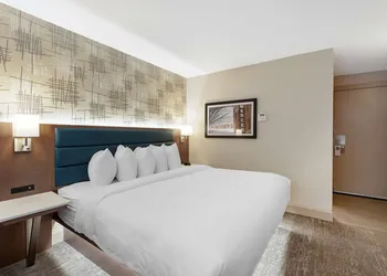 Best Western Plus City Centre Inn hotel thumbnail 6