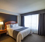 Cambridge Suites Hotel hotel detail image 7