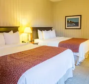 Quality Inn & Suites Downtown hotel detail image 4