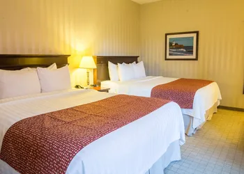 Quality Inn & Suites Downtown hotel thumbnail 4