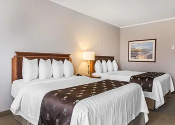 Quality Inn & Suites Downtown hotel thumbnail 5