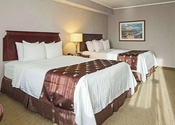 Quality Inn & Suites Downtown hotel thumbnail 6