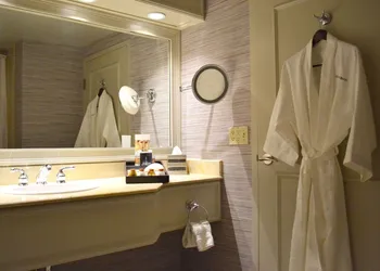 Treasure Island - TI Las Vegas Hotel & Casino hotel thumbnail 4