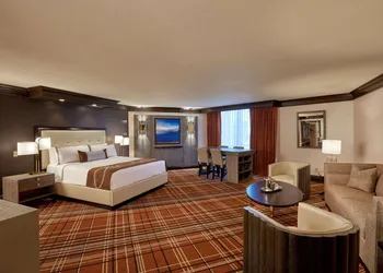 Treasure Island - TI Las Vegas Hotel & Casino hotel thumbnail 8