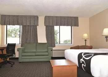 La Quinta Inn & Suites by Wyndham Tampa Fairgrounds - Casino hotel thumbnail 8