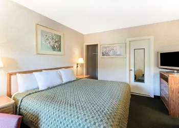 Night Lodge hotel thumbnail 6