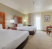 Comfort Inn & Suites At Dollywood Lane hotel detail image 4