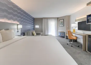 Comfort Inn & Suites At Dollywood Lane hotel thumbnail 8