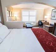 Comfort Suites Fresno River Park hotel detail image 7