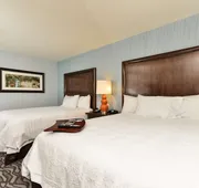 Hampton Inn Corning/Painted Post hotel detail image 3