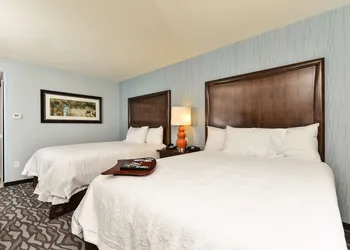 Hampton Inn Corning/Painted Post hotel thumbnail 3