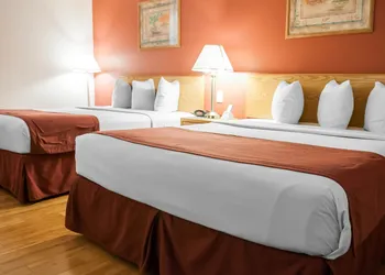Econo Lodge Albuquerque Old Town hotel thumbnail 6