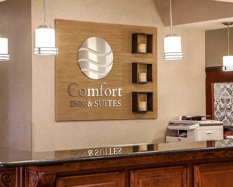 Comfort Inn & Suites Davenport - Quad Cities hotel detail image 2