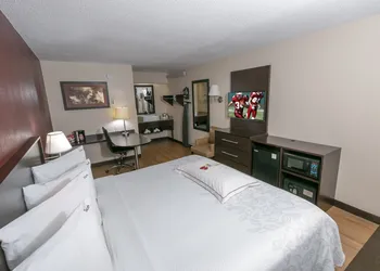Red Roof Inn PLUS+ Boston - Framingham hotel thumbnail 7