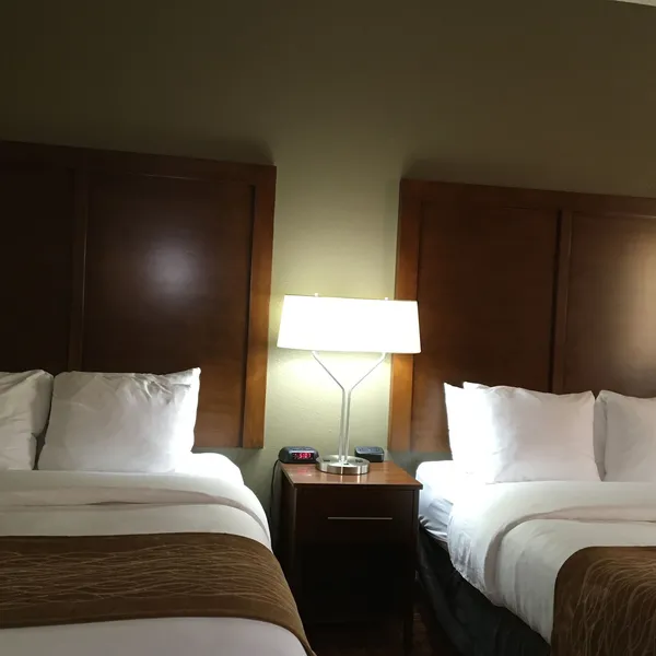 Comfort Inn & Suites near Kino Sports Complex hotel detail image 6