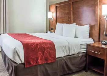Comfort Suites University - Research Park hotel thumbnail 8