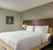Hampton Inn Kansas City-Airport hotel detail image 7