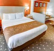 Comfort Suites Pittsburgh Airport hotel detail image 4