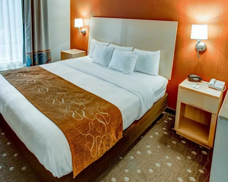 Comfort Suites Pittsburgh Airport hotel detail image 6