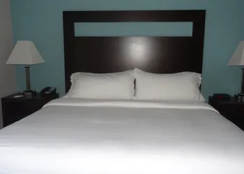 Holiday Inn Express Kansas City-Bonner Springs by IHG hotel thumbnail 6