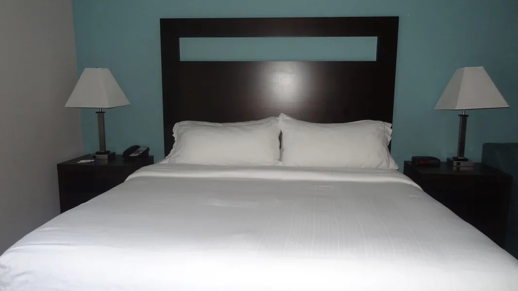 Holiday Inn Express Kansas City-Bonner Springs by IHG hotel detail image 6